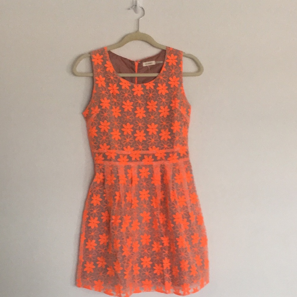 Blu pepper floral embroidered dress